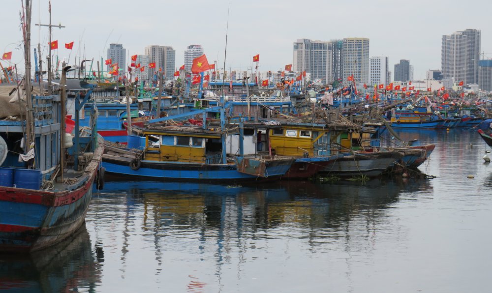 Fishing boats in harbor, Danang, Vietnam