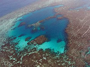 The Great Barrier Reef