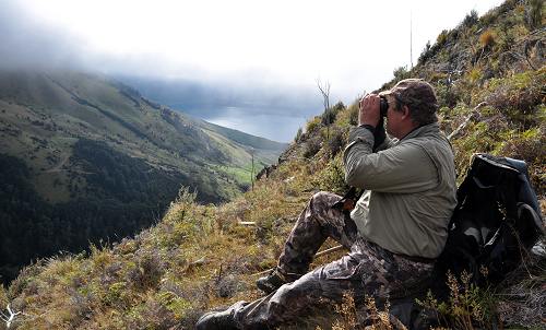 Stalking red stag at Glen Dene Station, on the shores of Lake Hawea, South Island