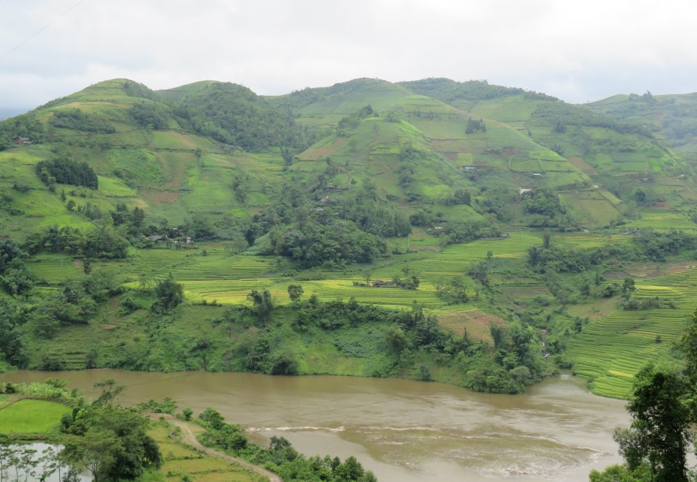 Rice paddies near Sapa, northern Vietnam