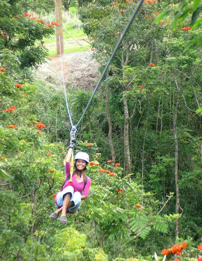 Zip Line Adventures At The World Botanical Gardens From Photo