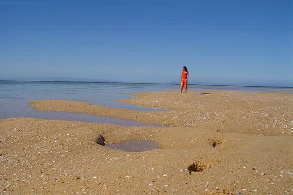 Abel Tasman National Park 1-5 Day Guided Walks - Wilsons Abel Tasman National Park.  Photo copyright Wilsons Abel Tasman National Park.