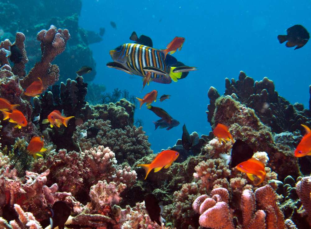 Beqa Lagoon