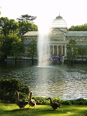 El Retiro Park - Parque del Retiro.  Photo copyright Madrid Visitors & Convention Bureau.