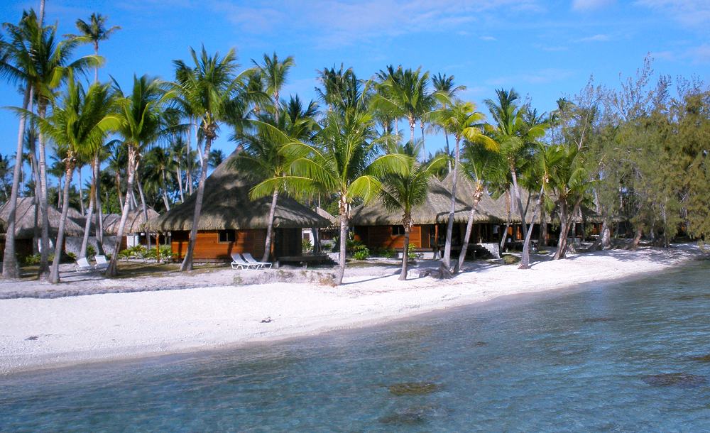 Beach Bungalow Hotel The Best Beaches In World Beach Bungalows With Jacuzzi From Photo Gallery For Hotel Kia Ora