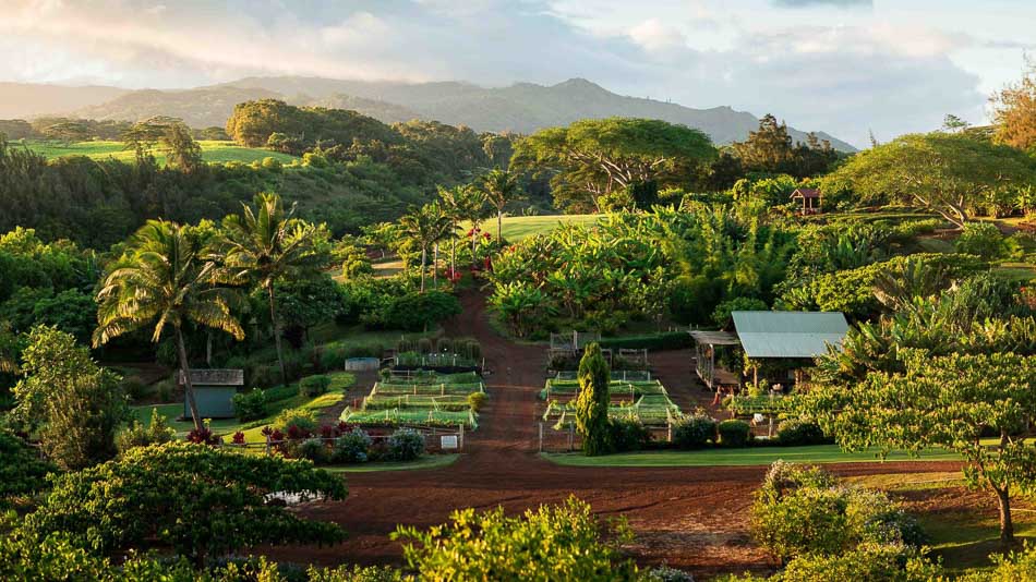 The Farm - The Lodge at Kukui'ula.