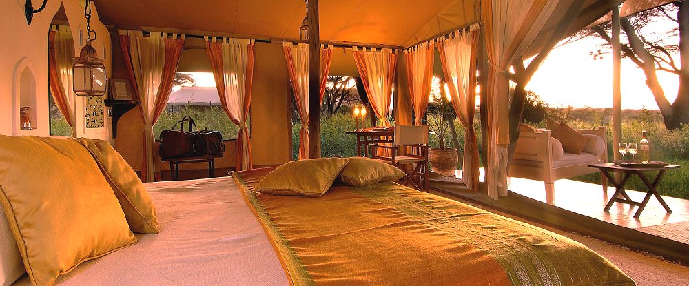 Guest Tent - Joy's Camp.