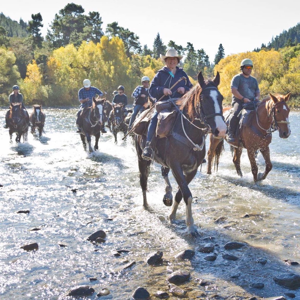 Alpine Horse Safari - Alpine Horse Safari. Copyright Alpine Horse Safari.