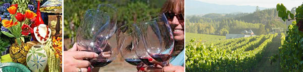 Half Day Tours - Bay Tours Nelson. Copyright Bay Tours Nelson.