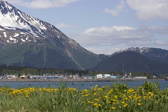 Seward Views - Best Western Edgewater Hotel. Copyright Best Western Edgewater Hotel.