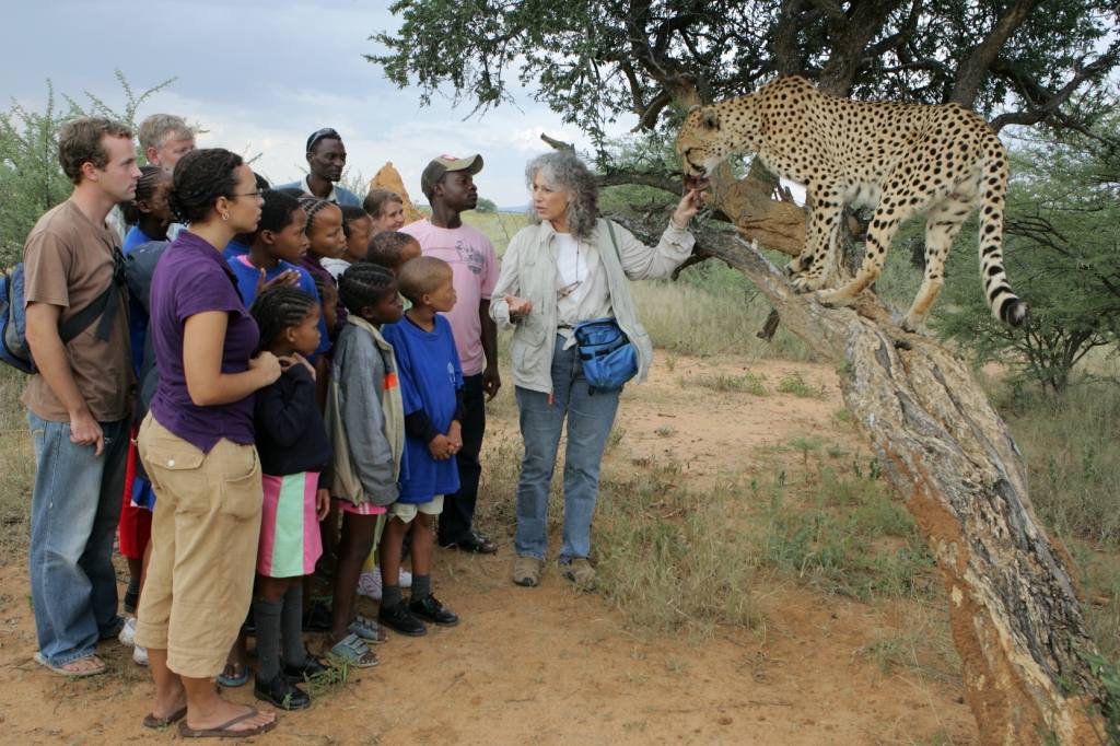 Resultado de imagen de cheetah conservation fund