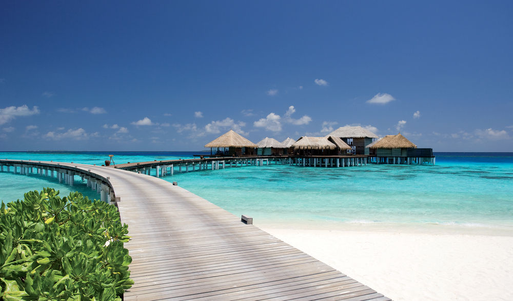 Coco Bodu Hithi - Coco Bodu Hithi. Copyright Coco Bodu Hithi.