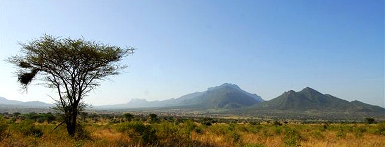 Tsavo West National Park - Finch Hattons Camp. Copyright Finch Hattons Camp.
