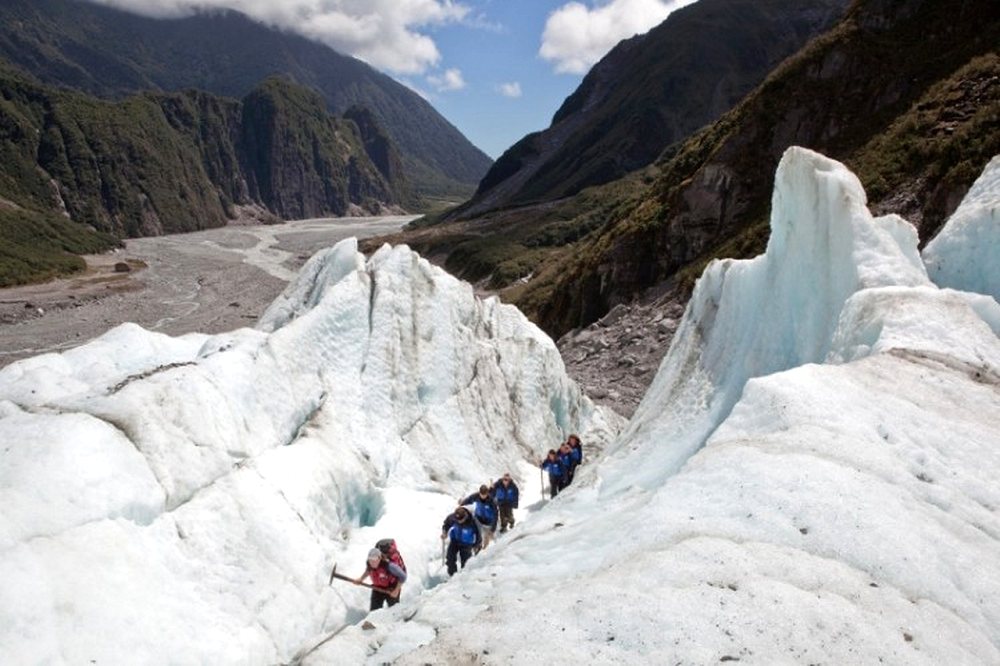 Fox Trot: Half Day  Walk - Fox Glacier Guiding. Copyright Alpine Guides Fox Glacier Ltd.