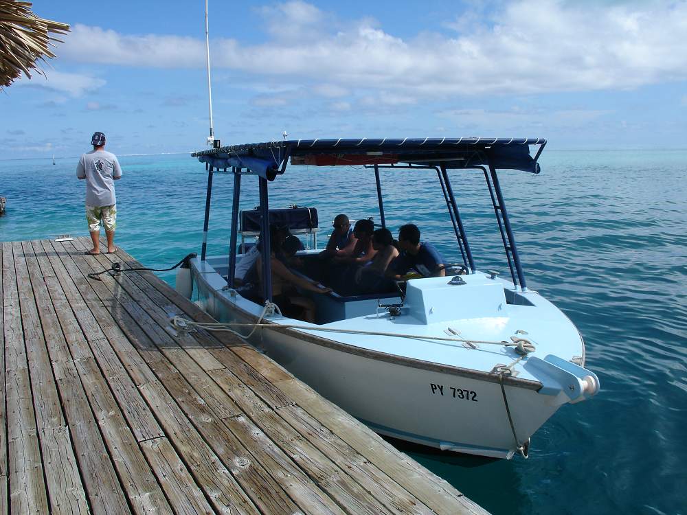 Glass Bottom Boat Tour - Glass Bottom Boat. Copyright Moana Adventure Tours.