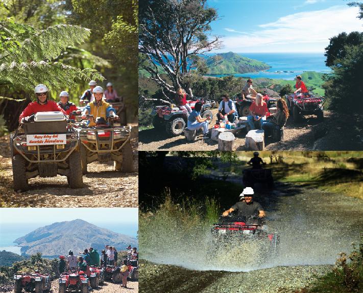 4 Wheelin' Fun - Happy Valley Adventures.