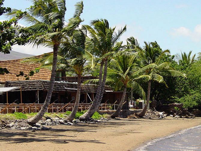 Hotel Moloka'i - Hotel Moloka'i. Copyright Beachtree Properties.