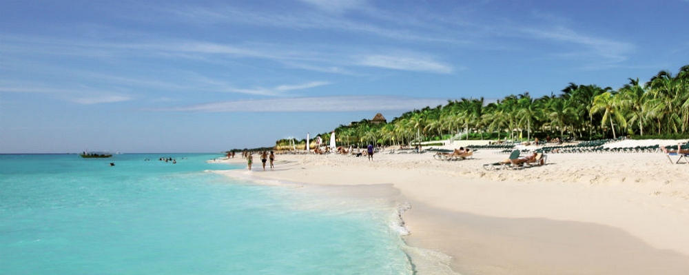 Hotel Riu Tequila Mexico Reviews Pictures Virtual Tours Videos Hotel Riu Tequila Photo Copyright Hotels Resorts