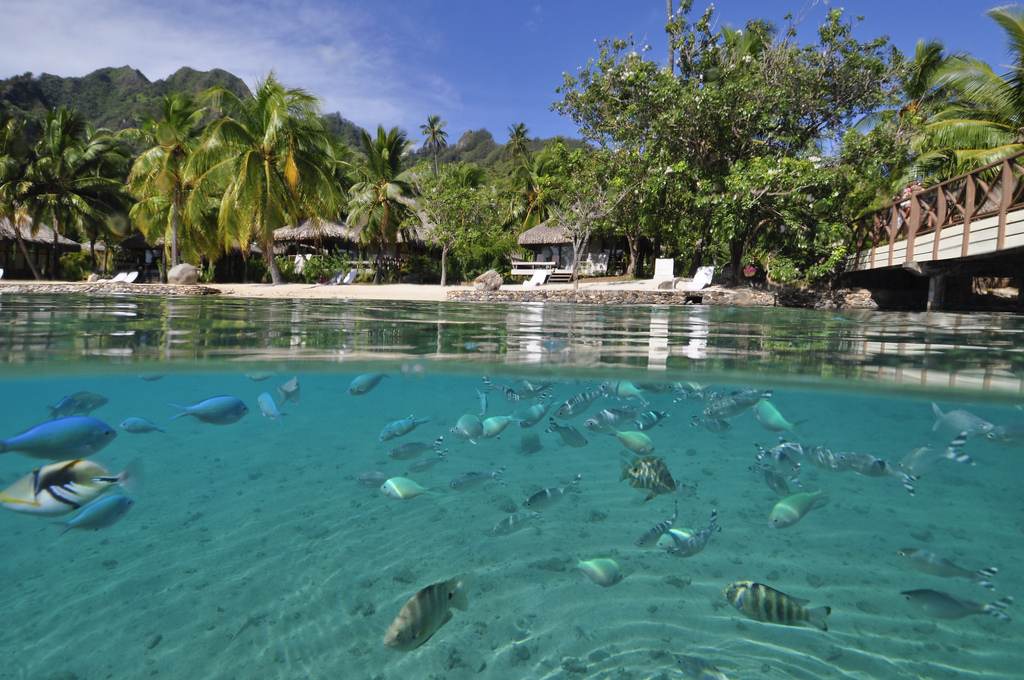 Intercontinental Moorea Resort And Spa French Polynesia