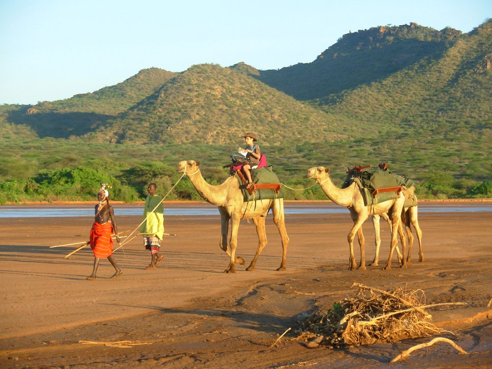 Camel Riding - Karisia Samburu led Walking Safari. Copyright Karisia Limited-Samburu Led Safaris.