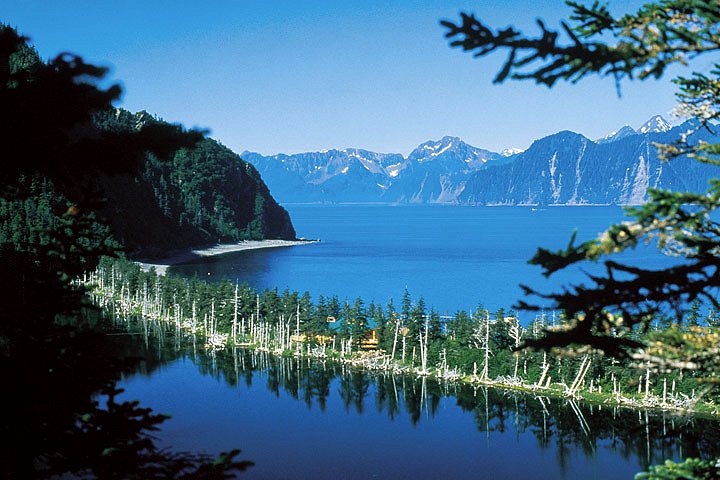 Resurrection Bay - Kenai Fjords Wilderness Lodge. Copyright Kenai Fjords Wilderness Lodge.