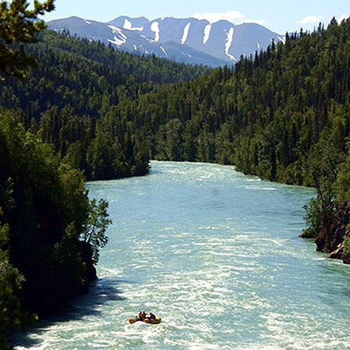 Image result for kenai canyon