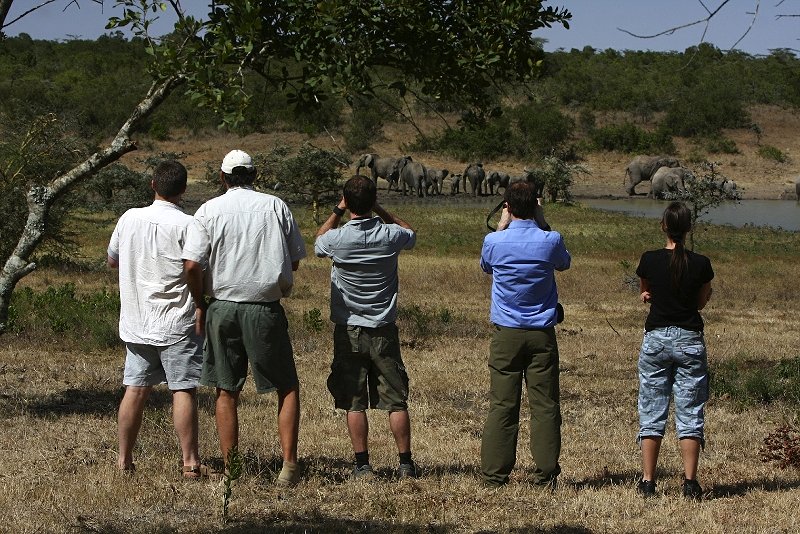 Kicheche Laikipia Camp Views - Kicheche Laikipia Camp. Copyright Kicheche Safari Camps-Kicheche Laikipia Camp.