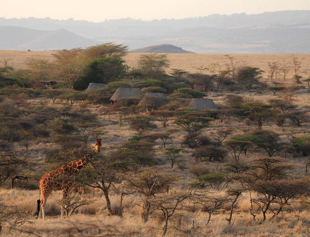 Lewa Safari Camp - Lewa Safari Camp. Copyright Cheli & Peacock.