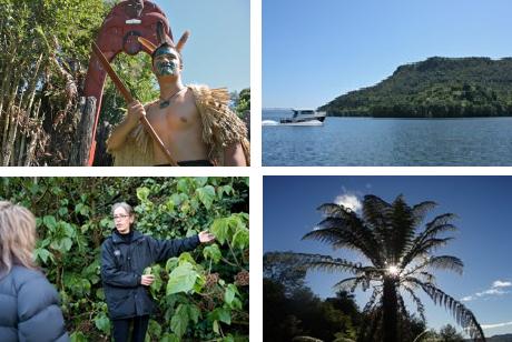 The ULTIMATE Island Experience - Mokoia Island Wai Ora Experiences.