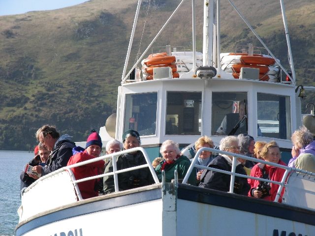 One Hour Wildlife Cruise - Monarch Wildlife Cruises & Tours.