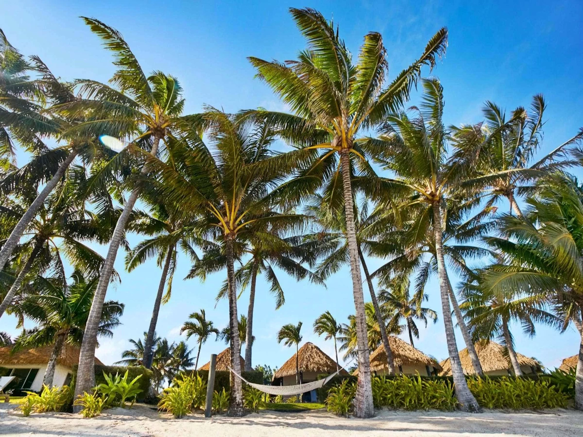 Welcome to Motu Beachfront Art Villas - Motu Beachfront Art Villas. Copyright Motu Beachfront Art Villas	.