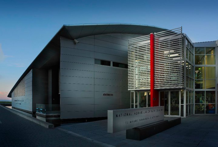 National Aquarium of New Zealand - National Aquarium of New Zealand. Copyright National Aquarium of New Zealand.