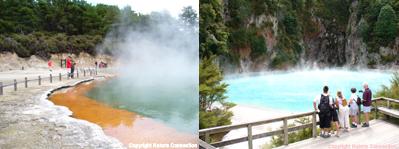 Geothermal Wonderland Tour - Nature Connection.