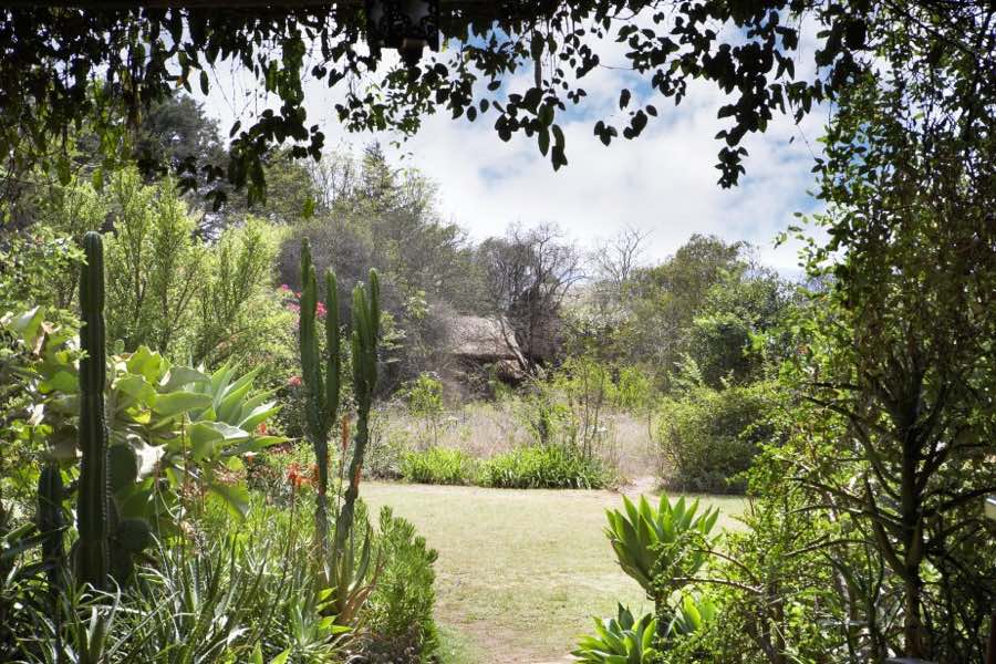 Secluded Ngong - Ngong House. Copyright Ngong House.