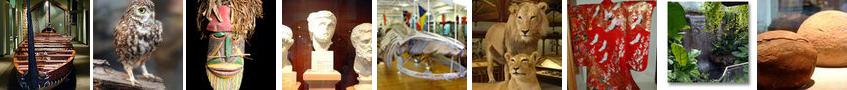 Tours - Otago Museum.