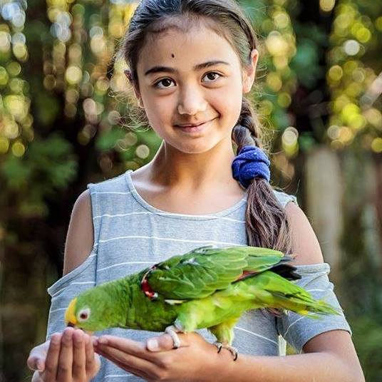 Rainbow Springs Kiwi Wildlife Park - Rainbow Springs Kiwi Wildlife Park. Copyright Rainbow Springs Kiwi Wildlife Park.