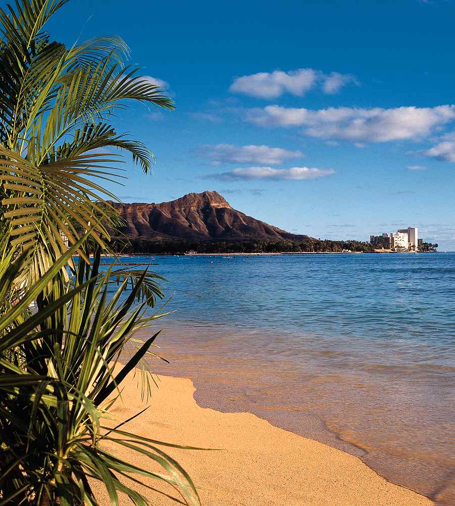 Sheraton Waikiki - Sheraton Waikiki. Copyright Sheraton Waikiki.
