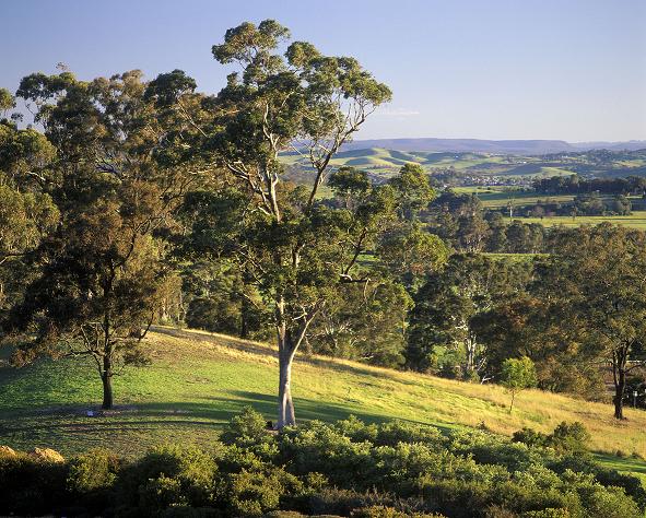 Royal Botanic Gardens Sydney & the Domain - The Royal Botanic Garden & Domain Trust.