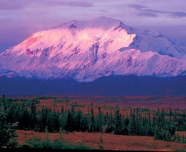 National Park Tour - Tundra Wilderness Tours. Copyright Tundra Wilderness Tours.