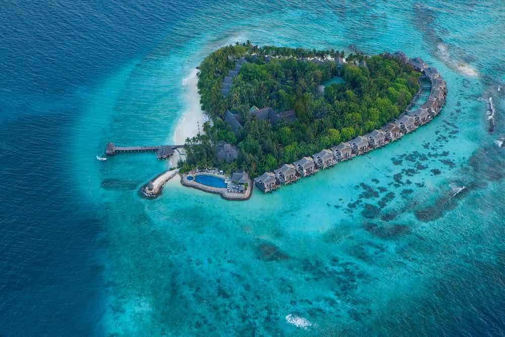 Vivanta by Taj Coral Reef Maldives - Vivanta by Taj Coral Reef Maldives. Copyright Vivanta by Taj Coral Reef Maldives.