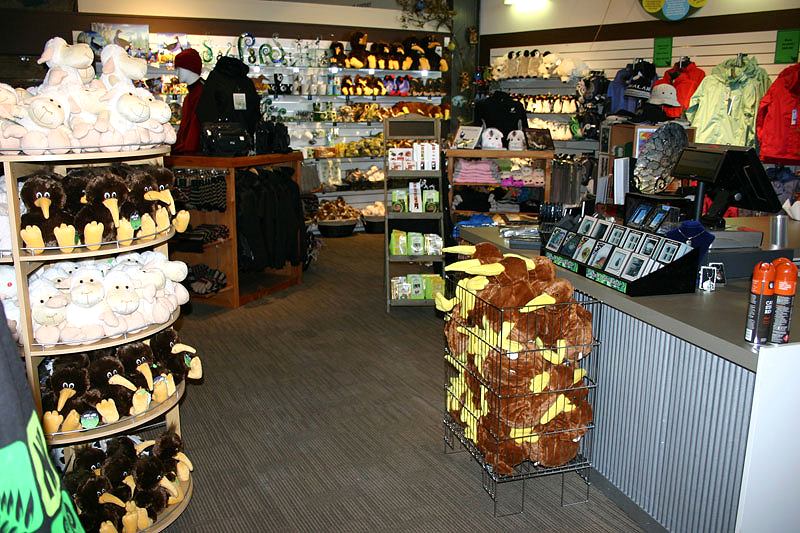 west coast wildlife center new zealand reviews treasure coast wildlife center