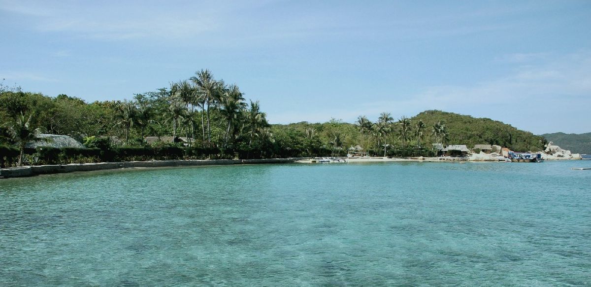 Overview - Whale Island. Copyright Whale Island.