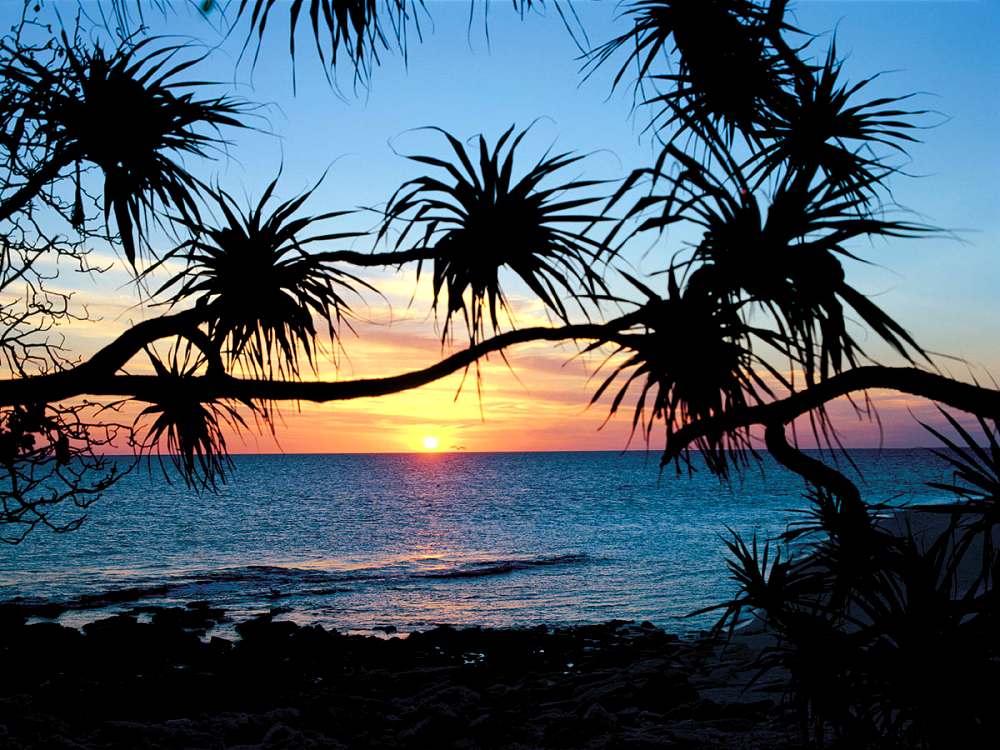 Wilson Island, Great Barrier Reef, Australia Reviews, Pictures, Map