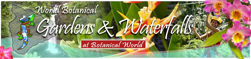 World Botanical Gardens - World Botanical Gardens. Copyright World Botanical Gardens, Inc..