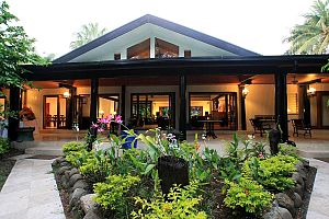 Fiji Orchid