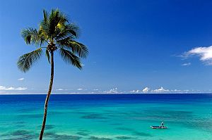 Cobblers Cove