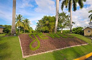 Jewel Paradise Cove Resort & Spa
