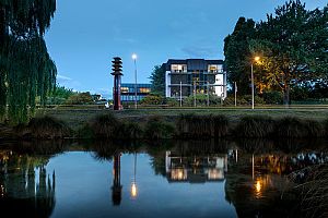The George