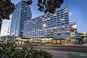 MSocial Auckland