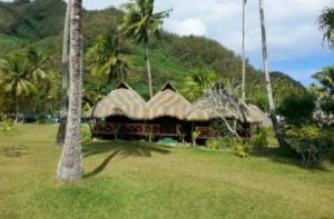 Hotel Hibiscus